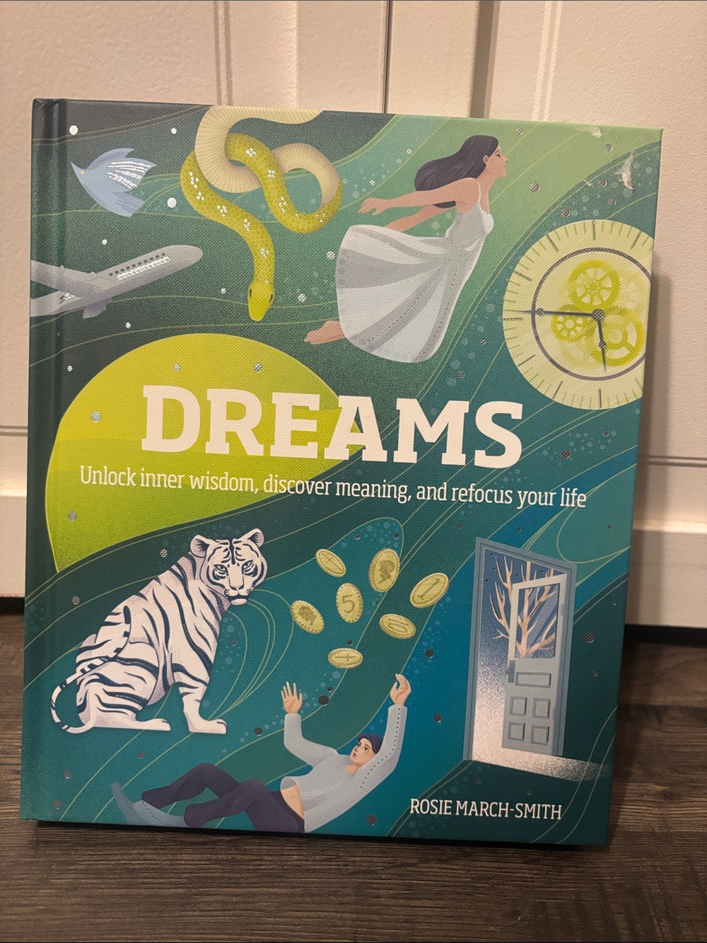 DREAMS Hardcover Book - Green Teal Illustration